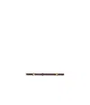 Isabel Marant Karlo Belt In Rust-colored
