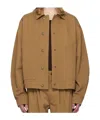 Isabel Marant Lapel Long-sleeved Casual Jacket In Brown