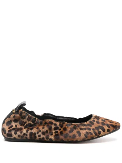 Isabel Marant Leopard Print Ballerina Shoes