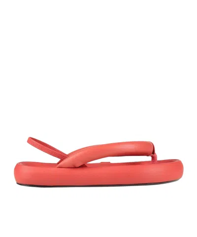 Isabel Marant Minimalist Leather Flip-flops In Red