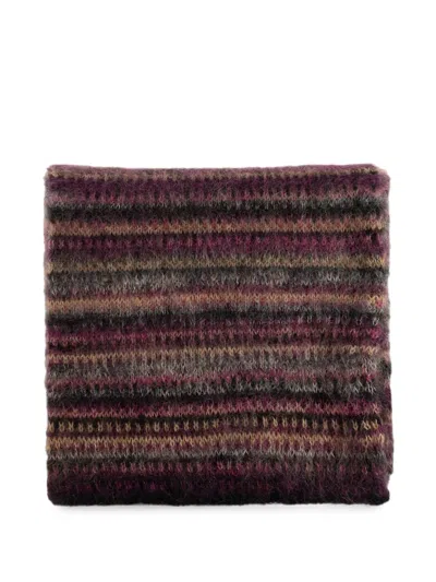 Isabel Marant Mouna Striped Scarf In Brown