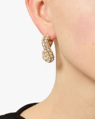 Isabel Marant Shiny Funky Earrings In Transparent