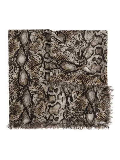 Isabel Marant Snakeskin-print Fringed Scarf In Brown