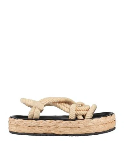 Isabel Marant Woman Espadrilles Beige Size 6 Cotton In Beige