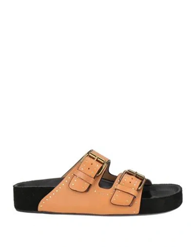 Isabel Marant Woman Sandals Tan Size 5 Leather In Brown