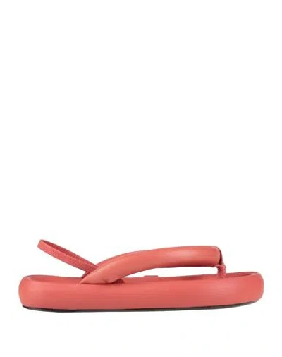 Isabel Marant Woman Thong Sandal Coral Size 7.5 Leather In Red