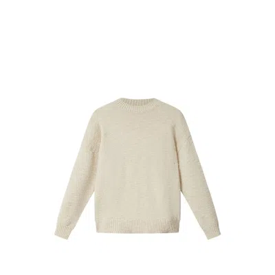 Isabel Marant Wool-blend Crew Neck Sweater In Neutral