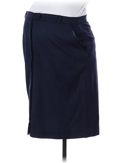 Pre-owned Isabella Oliver Wool Skirt In Blue