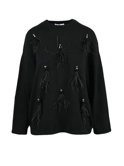 Isabelle Blanche Crew Neck Knit With Stone And Feather Details In Black