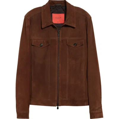 Isaia Suede Trucker Jacket In Open Brown