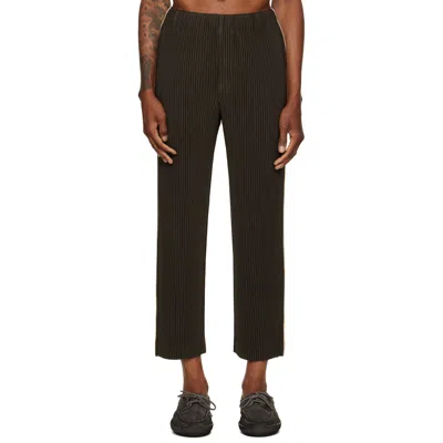 Issey Miyake Brown August Embroidery Stripes Trousers In Animal Print