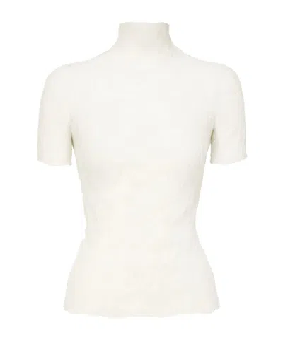 ISSEY MIYAKE CHIFFON TWIST BK/WT-56 TURTLENECK