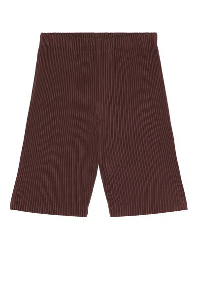 ISSEY MIYAKE COLOR PLEATS SHORTS