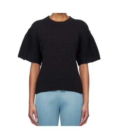Issey Miyake Crew Neck Short Sleeve Sweater In 15 Black