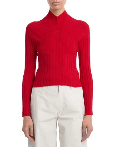 Issey Miyake Elephant Knit Ribbed Sweater In Red