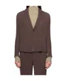 Issey Miyake Brown February Hatching Pleats Blazer In Brown