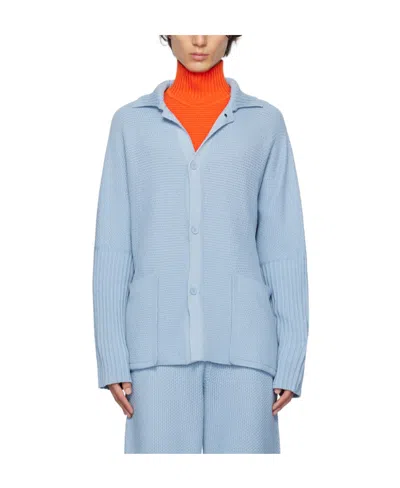 Issey Miyake Front Button Sweater In Blue