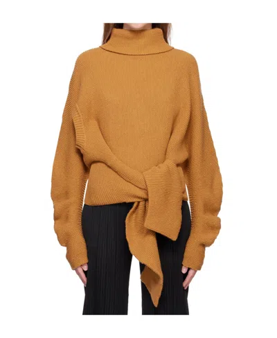 Issey Miyake High-necked Lace Up Sweater In Brown