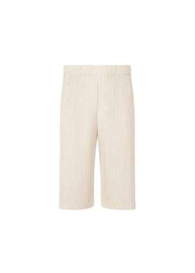 Issey Miyake Homme Plissé  Innovative Plissé Pants In 55