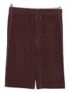 Issey Miyake Color Pleats Shorts In Burgundy