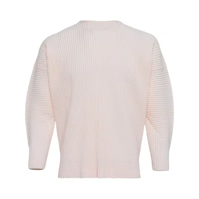 Pre-owned Issey Miyake Homme Plissé  Monthly Colors January T-shirt 'wall Pale Pink' | Men's Size 3