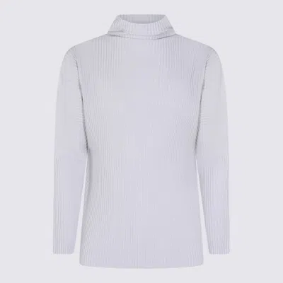 Issey Miyake Long Sleeve Ribbed Turtleneck Top In Multi