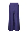 Issey Miyake Pleated Casual Pants In Blue
