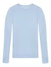 Issey Miyake Like Skin Long-sleeve Top In Blue