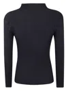Issey Miyake Pleated Turtleneck Long Sleeve Top In Black