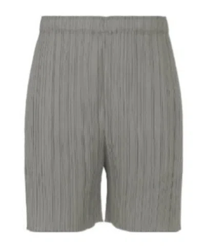 Issey Miyake Lucid Pleats In Gray