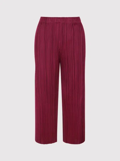 Issey Miyake Monthly Colors : March Trousers