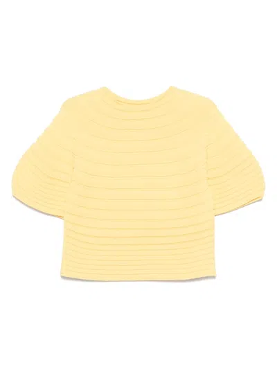 Issey Miyake Mushroom Top
