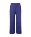 Issey Miyake Pleated Casual Pants In Blue