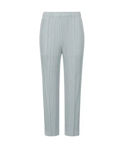Issey Miyake Pleated Casual Pants In Gray