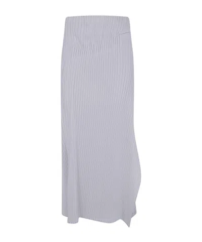 Issey Miyake Pleated On Pleats Long Skirt In Gray