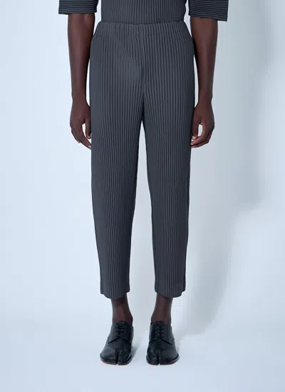 Issey Miyake Pleated Pants In Gray