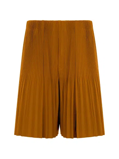 Issey Miyake Pleated Shorts In Brown