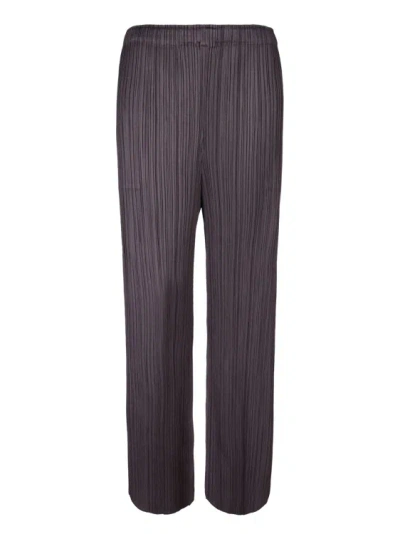 Issey Miyake Pleated Trousers In Grey