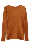 Issey Miyake Pleats Please  Monthly Colors November Pleated Long Sleeve Top In Brown