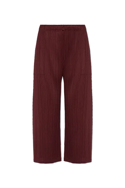 Issey Miyake Pleats Please  Pleated Mini Pants In Burgundy
