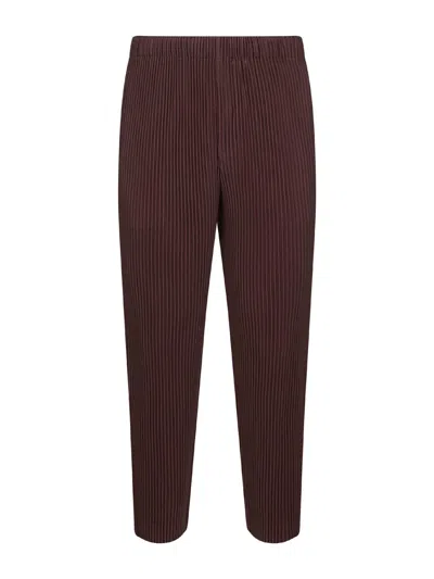 Issey Miyake "pleats Please" Trousers By Homme Plissé In Brown