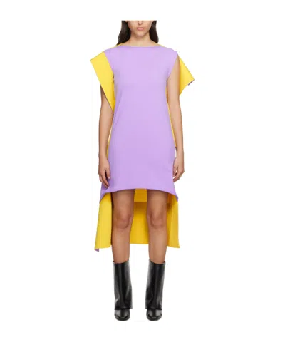 Issey Miyake Shaped Canvas Dress In Purple