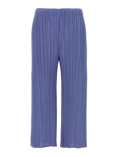 Issey Miyake Monthly Colors March Pants