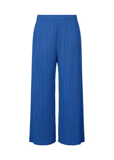 Issey Miyake Wide-leg Casual Pants In Blue