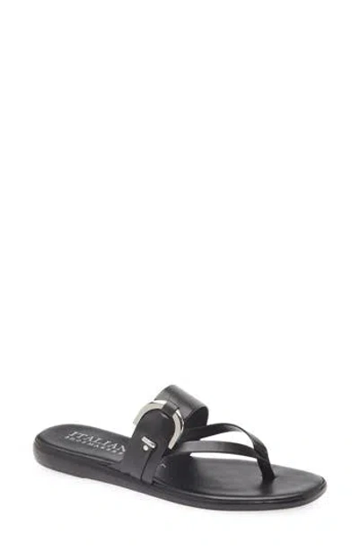 Italian Shoemakers Carlee Buckle Sandal In Black