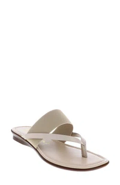 Italian Shoemakers Felia Flip Flop In Taupe