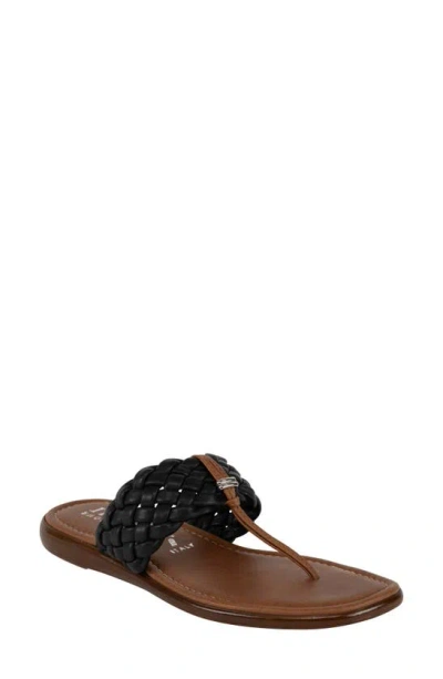 Italian Shoemakers Hasley Flip Flop In Black