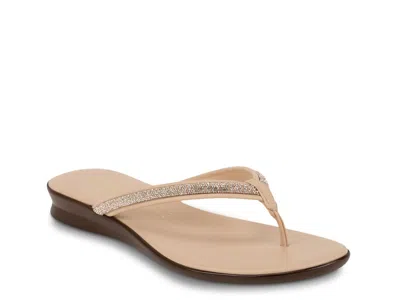 Italian Shoemakers Indigo Flip Flop In Neutral