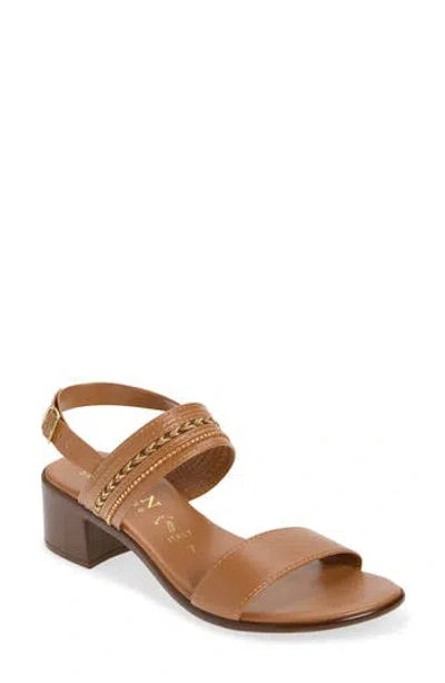 Italian Shoemakers Jenive Block Heel Sandal In Brown