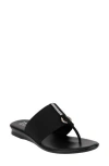 Italian Shoemakers Lillee Flip Flop In Black